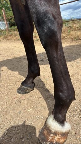 Jiva-du-douet-6ans-0