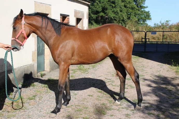 vente-Vichy-du-29-08-N°54-box-F87