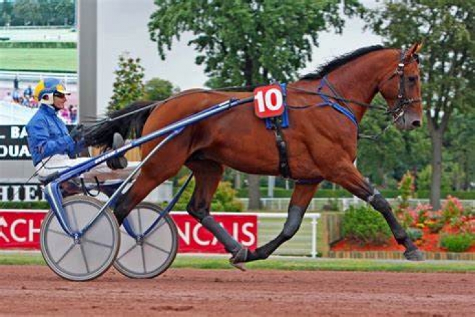 Plusieurs-saillies-sans-tva-0