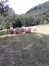 Foin-balles-rondes-2025-0