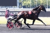 Vends-part-de-FELICIANO-(Ready-Cash-Ravanella-par-Jain-de-Beval)-0