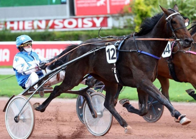 Vends-part---10---Lucky-Wind-+-10---Nordik-Fleury