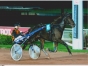 Dargeville-1-16-par-Tucson-et-Urville-0