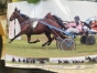 Vend-illustre-julry-hongre-de-7-ans-1