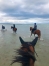Remise--entrainement-en-forme-a-la-mer-0