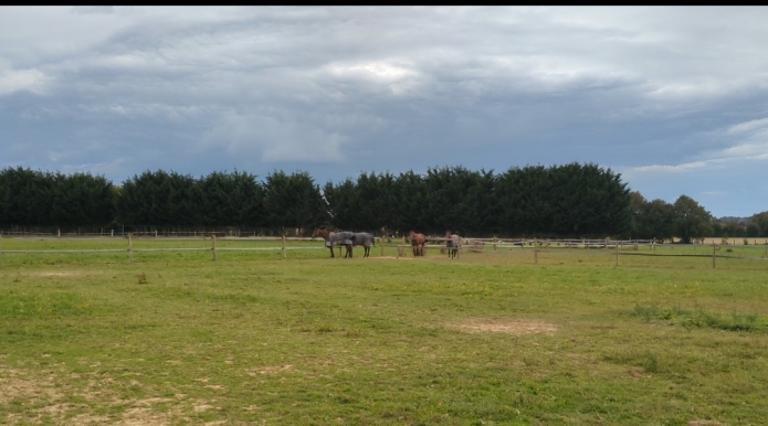 Entrainement-2