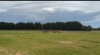 Entrainement-2