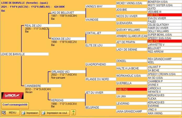 Pouliniere-K-(2020)-par-Orlando-Vici--2-victoires-0