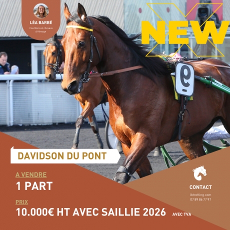 PART-DAVIDSON-DU-PONT-0
