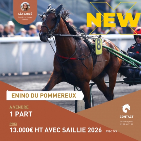 PART-ENINO-DU-POMMEREUX-0