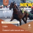 PART-ENINO-DU-POMMEREUX-0