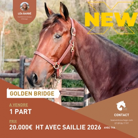 PART-GOLDEN-BRIDGE-0
