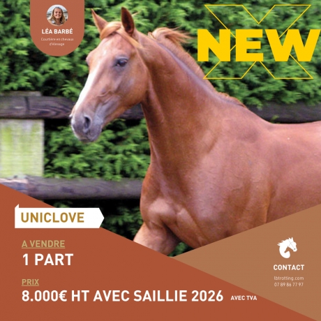 PART-DE-UNICLOVE-0