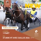 PART-FABULOUS-WOOD