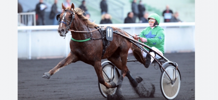 Propose-saillies-vente-ou-arrangement-prime-eleveur-0