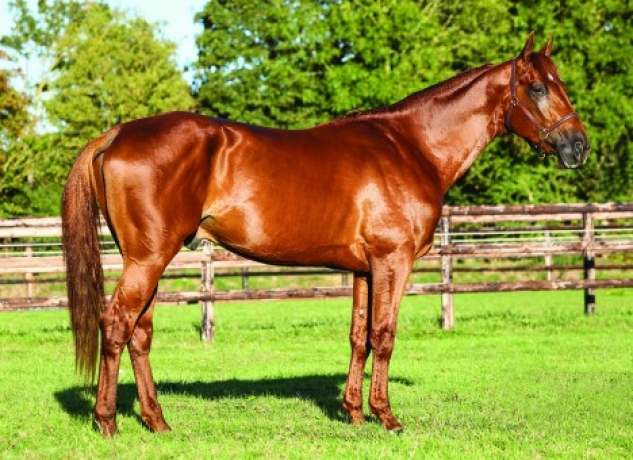 Vends-part-de-DOLLAR-MACKER-(Saxo-de-Vandel--Salt-Lake-City-par-Insert-Gede)