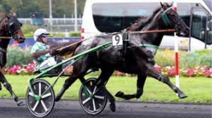 Vends-part-de-JUSTIN-BOLD-(Bold-Eagle-Udine-par-Coktail-Jet)-avec-saillie-2026-