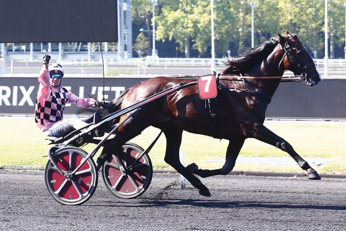 Vends-part-de-FELICIANO-(Ready-Cash-Ravanella-par-Jain-de-Beval)-avec-saillie-2026--Prix--9000-€-HT