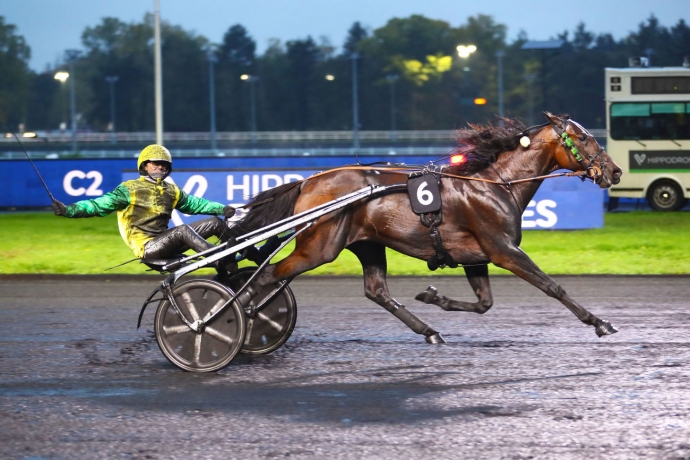 Vends-part-de-IDEAL-DU-POMMEAU-(Ready-Cash--Aime-Moi-par-Love-You)-avec-saillie-2026-0