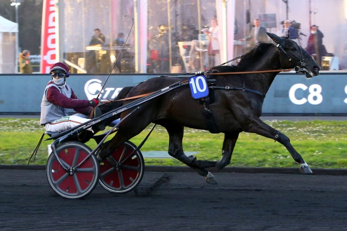 Vends-part-de-IZOARD-VEDAQUAIS-(Bird-Parker--Dokha-Vedaquaise-par-Prodigious)-avec-saillie-2026