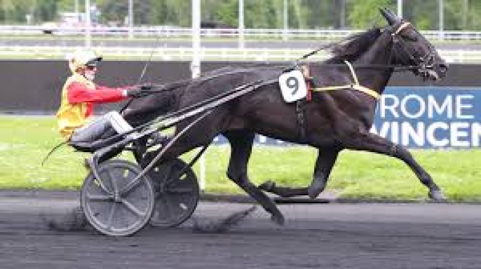 Vends-part-de-KHALS-FELLA-(Ready-Cash--Anastasia-Fella-par-Goetmals-Wood)-avec-saillie-2026