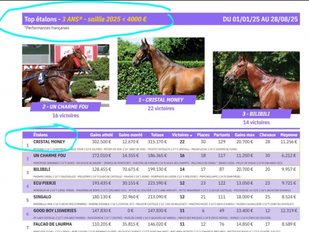 Saillie-2026-CRISTAL-MONEY-1