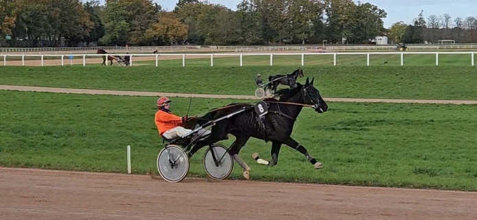 N-qualifiee--mere-1ere-categorie-1