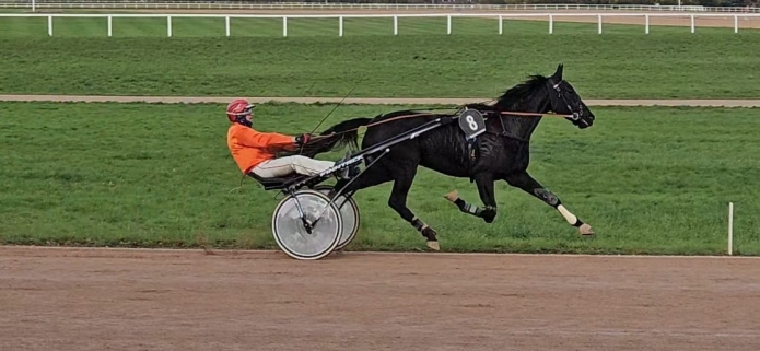 N-qualifiee--mere-1ere-categorie