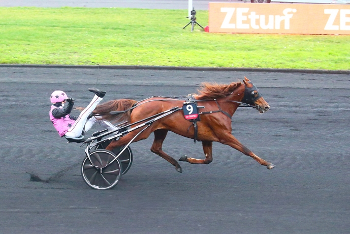 Cede-saillie-HOOKER-BERRY-0