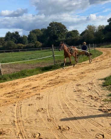 Debourrage--pre-entrainement