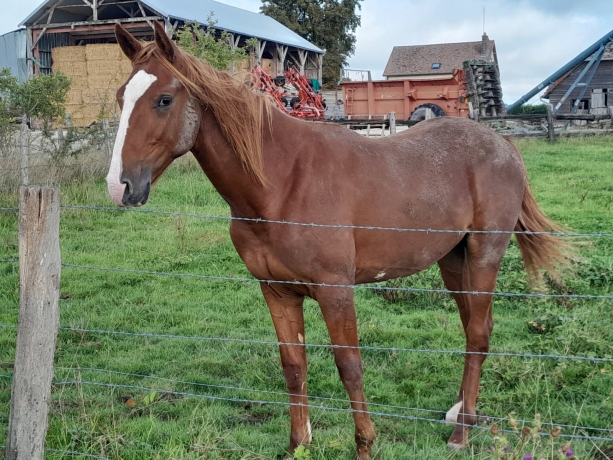 Ontario-de-Bonlieu-0