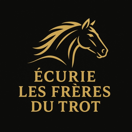 Vend-parts-de-chevaux-pret-a-courir