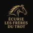 Vend-parts-de-chevaux-pret-a-courir-0