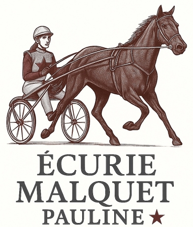 ecurie-recherche-chevaux