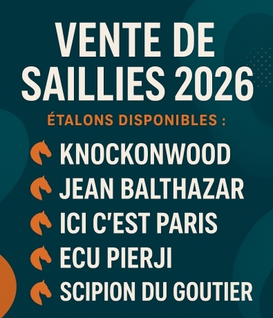 SAILLIES-SANS-TVA-2026