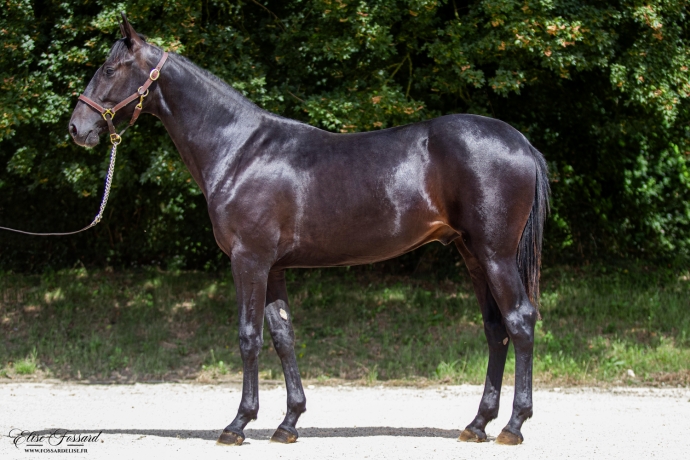 N-qualifie-vainqueur-de-son-lot