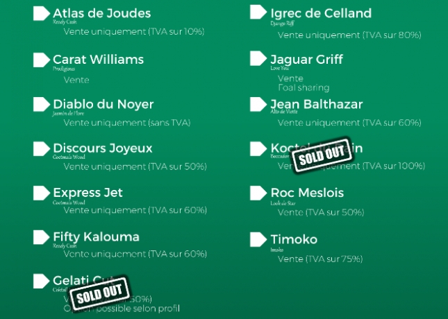 Multiples-saillies-2026