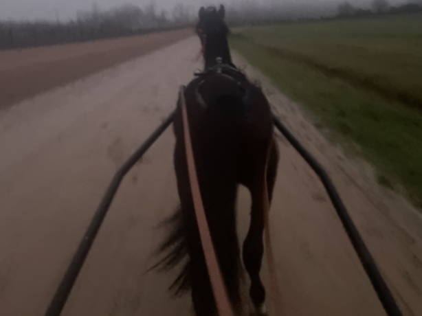 DeBOURRAGE--PRE-ENTRAiNEMENT--ENTRAiNEMENT