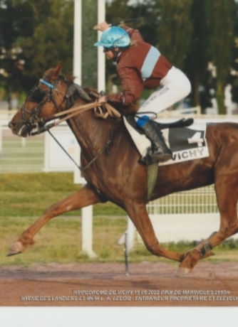 Vends-Hyene-des-Landiers-3eme-categorie