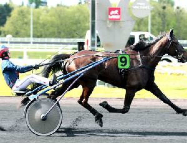 Vends-pouliniere-ALL-EDITION-(Rocklyn--Limited-Edition-par-Cygnus-d-Odyssee)