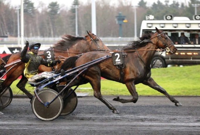 Vends-part-de-BRIAC-DARK-(Prince-Gede--Queen-des-Charmes-par-Look-de-Star)