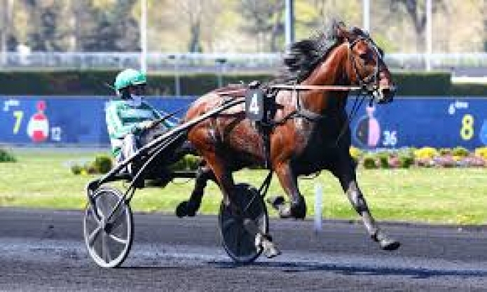 Vends-part-de-JUSHUA-TREE-(Bold-Eagle--Ma-Sissi-James-par-Coktail-Jet)