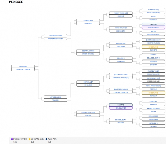 Vends-jument-H-sortie-de-l-entrainement