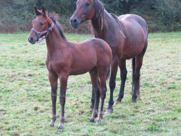 Bonjour--recherche-maison-d-habitation