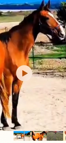 1ere-categorie-primee-de-selection