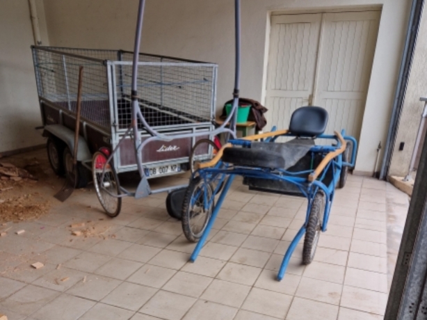 vente-lot-materiel-pour-entrainement-trotteurs