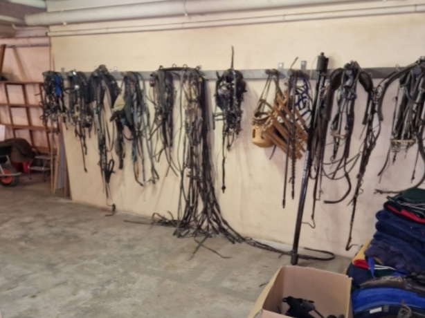 vente-lot-materiel-pour-entrainement-trotteurs-3