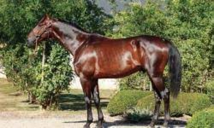 Vends-part-de-ICI-C-EST-PARIS-(Dollar-Macker--Blue-Valentine-par-Ready-Cash)