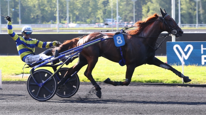 SAILLIE-HORSY-DREAM-LOMBOK-JIEL-ITALIANO-VERO