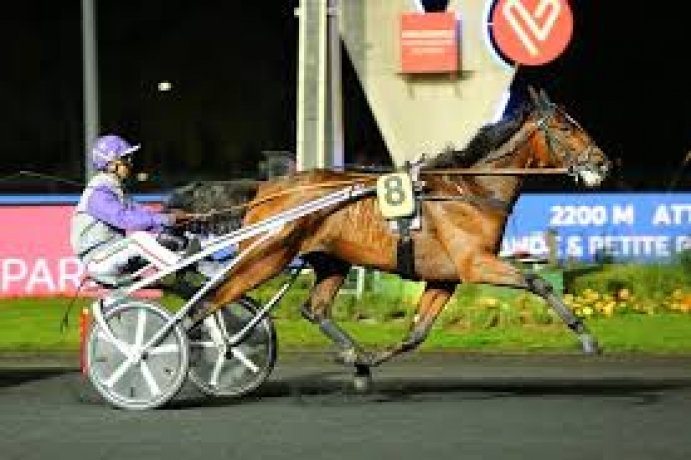 Vends-part-de-HELGAFELL-(Charly-du-Noyer--Baaria-par-Quaker-Jet)